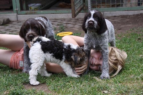 2011_06_07_015.jpg