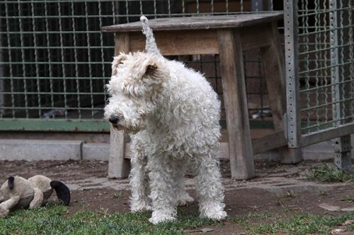 2011_06_07_047.jpg