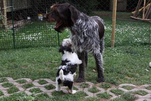 2011_06_07_049.jpg