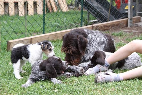 2011_06_07_056.jpg