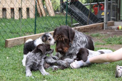 2011_06_07_057.JPG